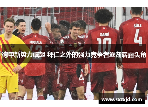 德甲新势力崛起 拜仁之外的强力竞争者逐渐崭露头角